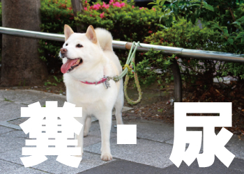 近隣トラブルを防ぐ防犯対策 ペットの糞・尿被害